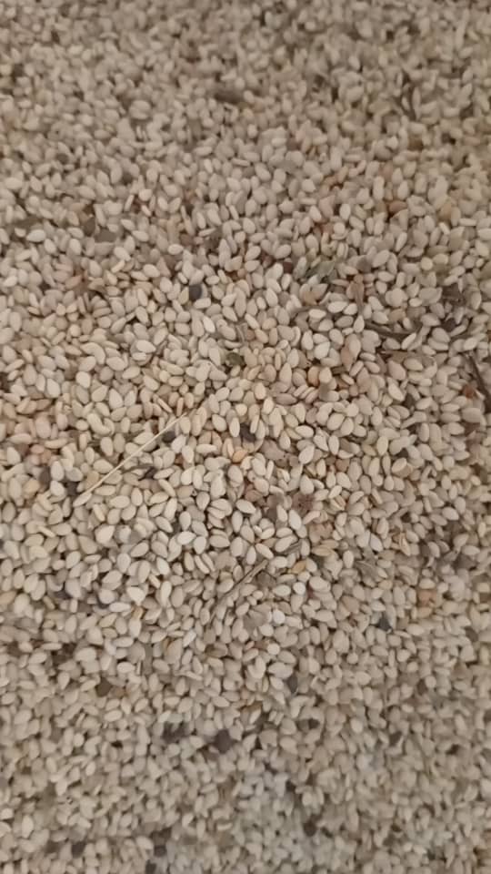 Sesame Seed ( 1kg)