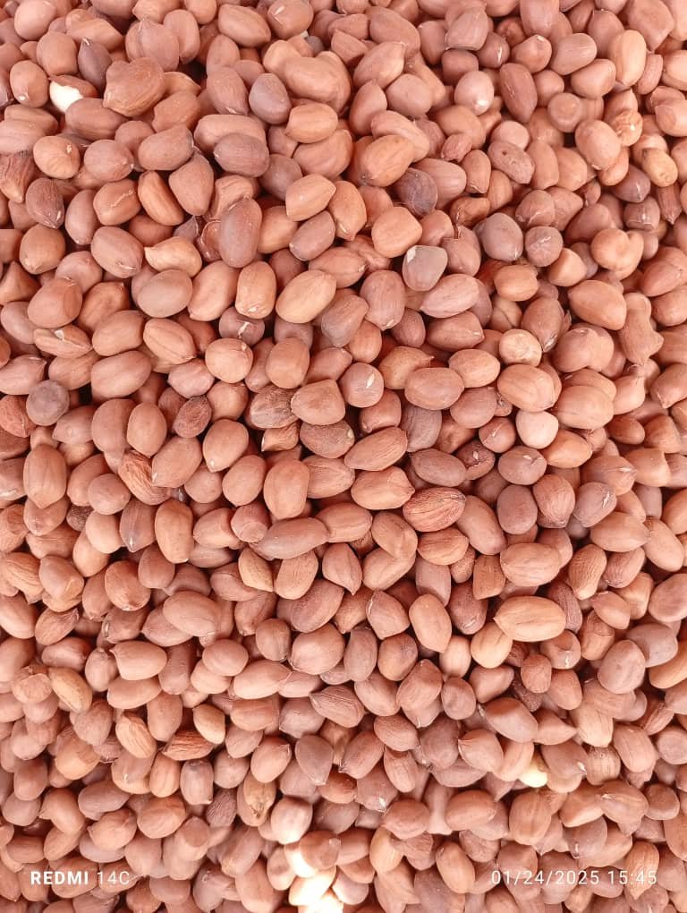 Groundnut  (50kg)