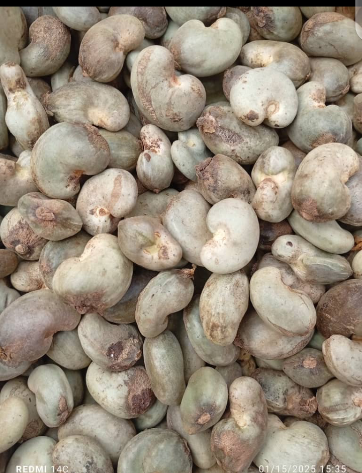 Cashew nuts (50kg)